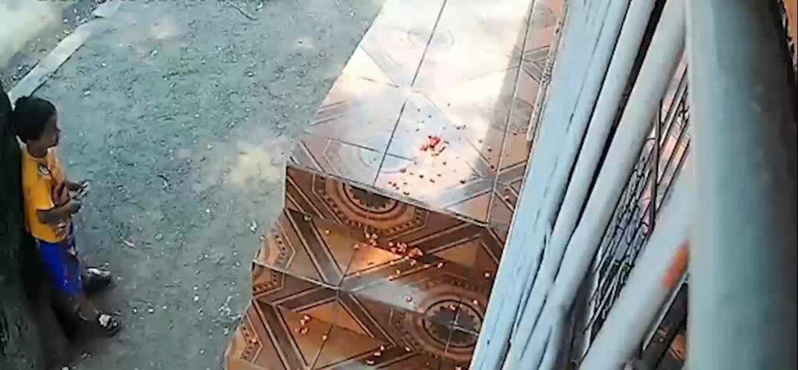 Monkey Snatches Snacks From Passerby