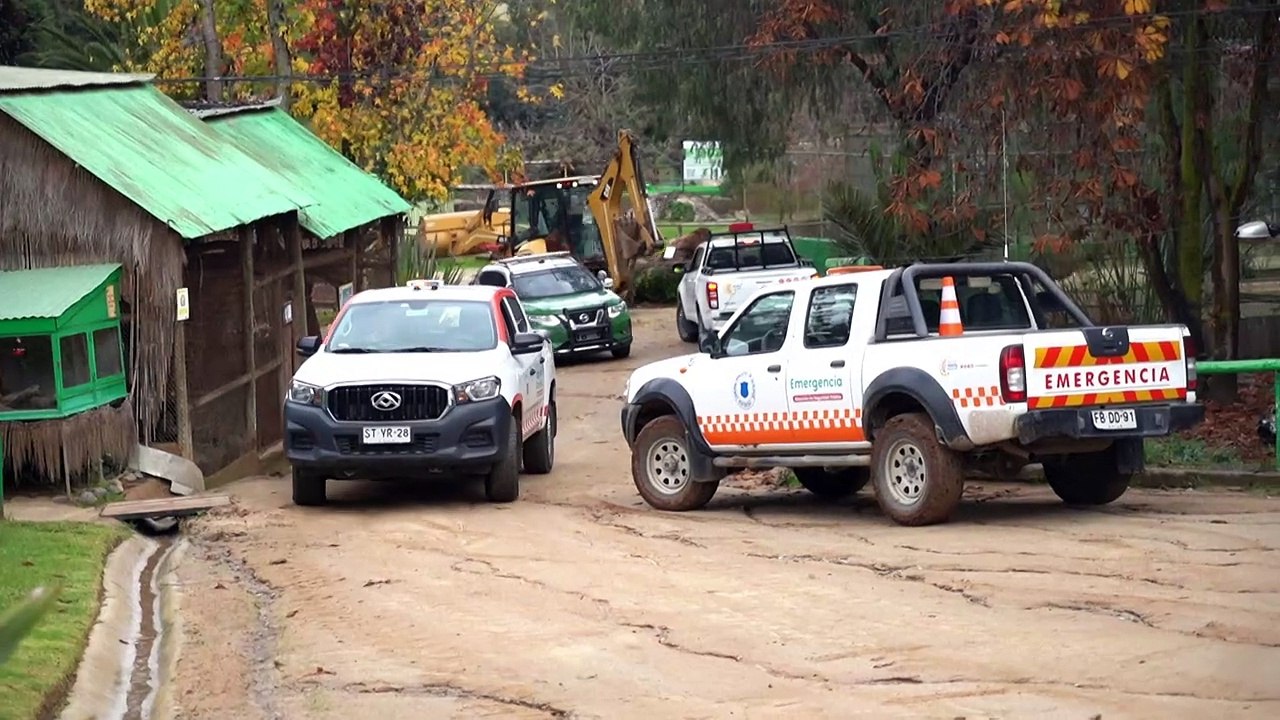 Ataque de perros salvajes deja 23 animales muertos en zoológico de Chile