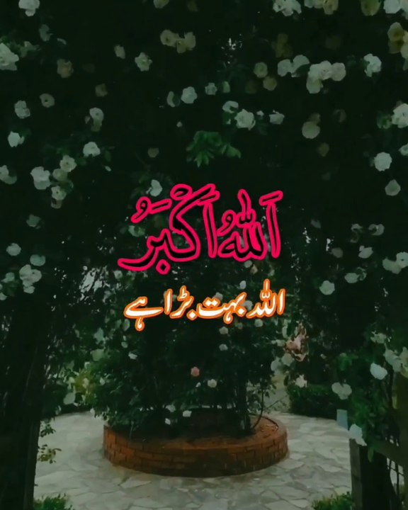 تکبیرات وتسبیحات کثرت سے کریں۔۔۔ اللہ اکبراللہ اکبرلاالہ الا اللہ واللہ اکبراللہ اکبروللہ الحمد ۔۔۔ اللہ اکبرکبیراوالحمدللہ کثیراوسبحان اللہ بکرہ واصیلا  ۔۔۔ سبحان اللہ والحمدللہ ولاالہ الااللہ واللہ اکبر