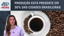 Café está ameaçado pelas mudanças climáticas; Patrícia Costa analisa