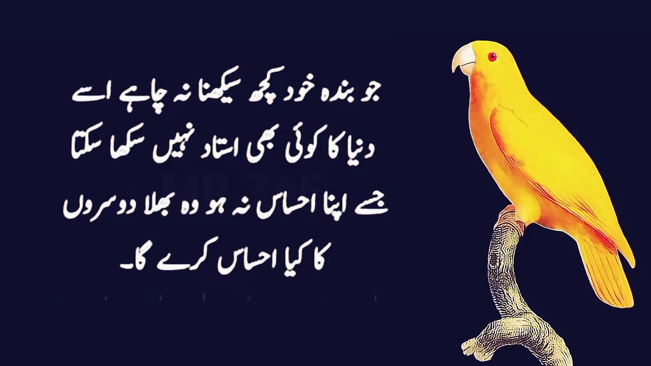 Motivational quotes banoquotes