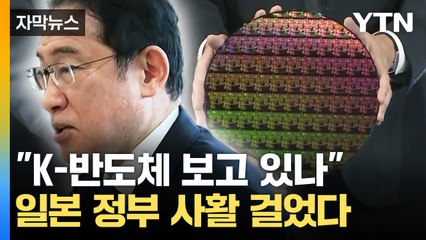 [자막뉴스] 사활 건 일본의 '반도체 프로젝트'...수조 원 투자 이어간다 / YTN