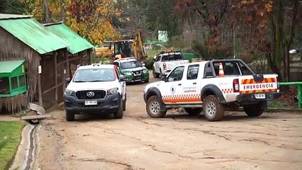 Ataque de cães 'ferais' deixa 23 animais mortos em zoológico no Chile