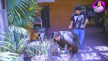 Motu+Bhai+Electrician+to+Maali+_+Motu+Bhai+as+Fake+Gardner+With+Marhoom+Bilal+Funny+Video+2024.