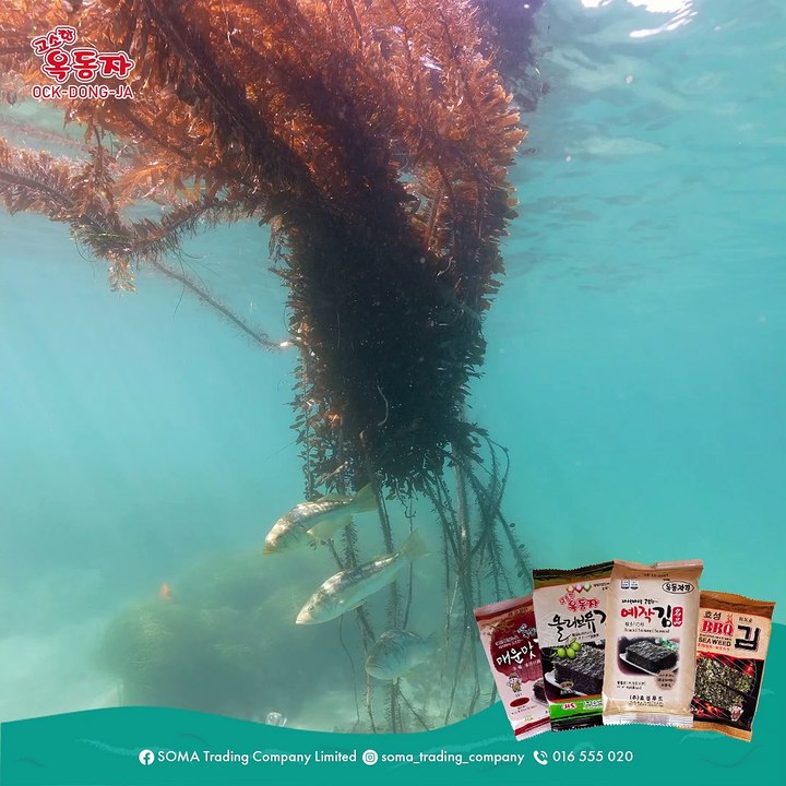 Ock dong ja seaweed