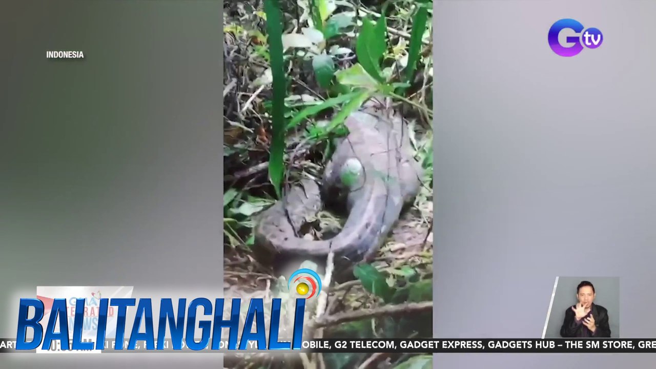 Bangkay ng babae, nakita sa loob ng tiyan ng sawa | Balitanghali