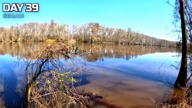 Survive in the Wilderness and Win $10,000 Daily! MrBeast Hindi Challenge! @MrBeast