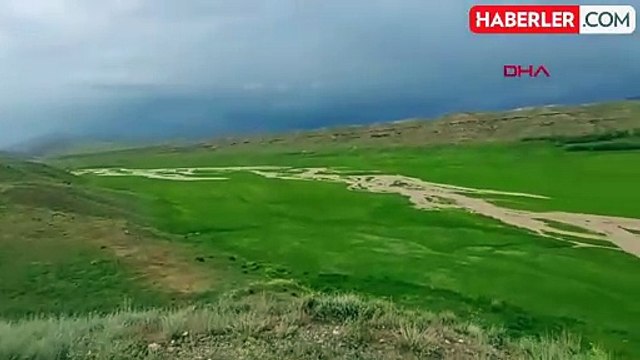 Van'da Sağanak Sele Neden Oldu; 52 Hayvan Öldü, 10 Ev İle Ahır Hasar Gördü