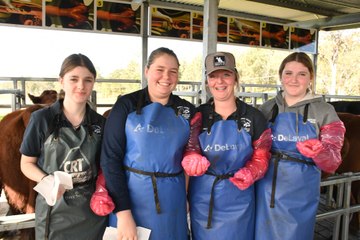 School Students experience Artificial Insemination at No Bull