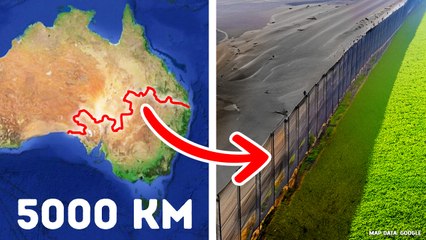 Pourquoi Les Australiens Ont-Ils Construit Une Clôture À Travers Tout Le Continent