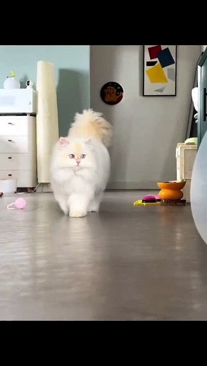So cute