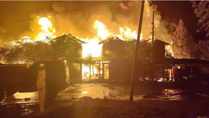 Antalya'nın tatil merkezi Olimpos'ta ünlü ağaç evler ikinci kez tamamen yandı