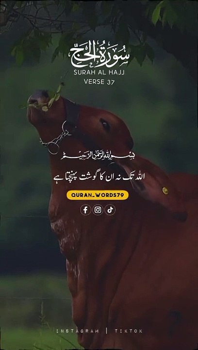 baa65cbb8e4e55a917948fc754589aee