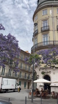LES PLUS JOLIED ruelles de Porto
