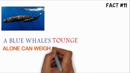 AMAZING FACTS ABOUT ANIMALS