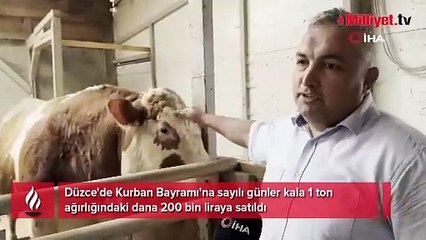 1 tonluk dana 200 bin liraya satıldı