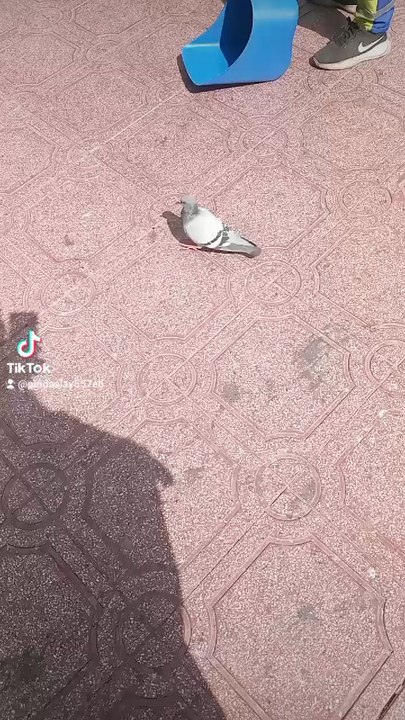 Makkah 2024