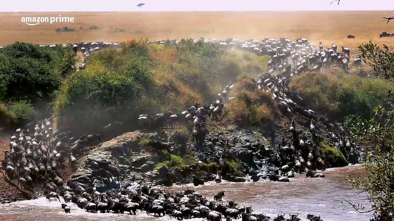 Mirzapur Season 3 - Official Teaser _ Pankaj Tripathi, Ali Fazal, Shweta Tripathi, Rasika Dugal