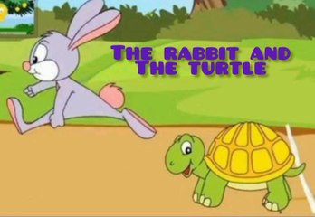 The rabbit and the turtle
