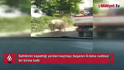 Bursa'da 4 dana caddeyi birbine kattı