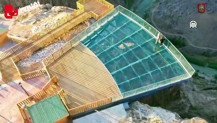 Sivas'ta, yaban keçileri bu kez tepeye değil, seyir terasına çıktı