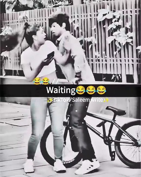 Funny videos 