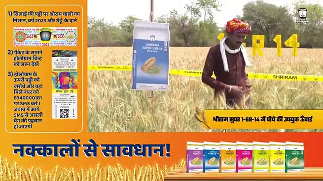 Transform Your Wheat Yield with Shriram Super 1-SR-14 Seeds