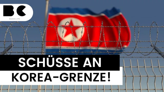 Nordkoreanische Soldaten überqueren Südkoreas Grenze – Schüsse!