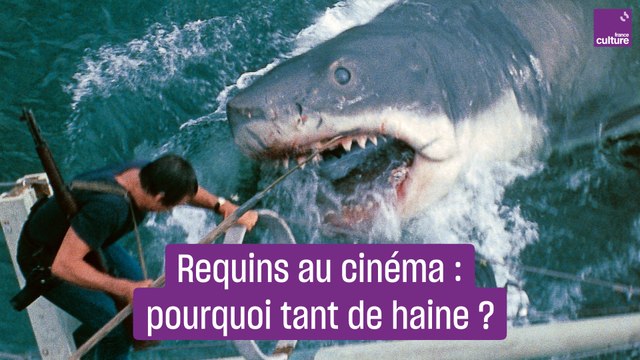 Pourquoi les requins sont des monstres au cinéma