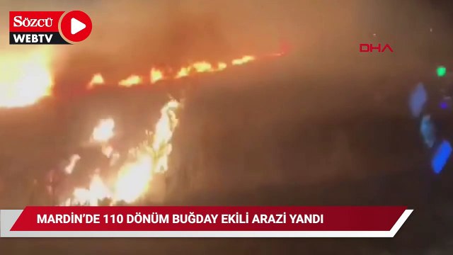 Mardin'de 110 dönüm buğday ekili arazi yandı