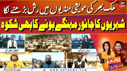 Citizens complain that animals are expensive in Cattle Market