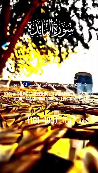 Surah al maida ayat 101-131 urdu translate #shorts #viralvideo