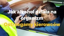 Jak alkohol działa na organizm kierowcy