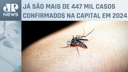 São Paulo tem redução no número de casos de dengue