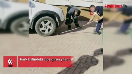Antalya'da park halindeki cipe yılan girdi