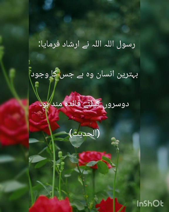 Islamic words