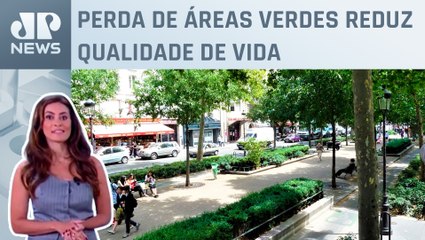 É possível retomar vegetação em meio à urbanização de metrópoles? Patrícia Costa analisa
