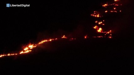 Múltiples incendios se propagan por Brasil