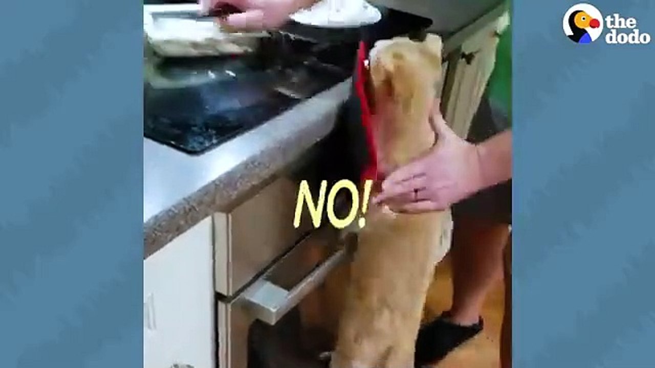 1000355397