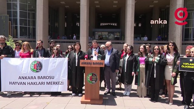 Ankara Barosu’ndan Yaşama Tutunan Patiler Derneği Başkanı Özgünlü'ye destek: “Derhal serbest bırakılmalı”