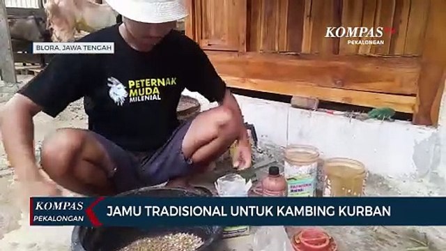 Peternak Blora Sukses Jual Kambing Kurban Berkat Jamu