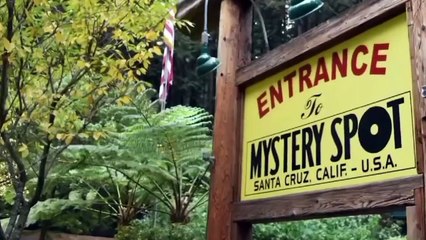 EARTH where gravity don't work