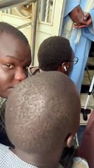 Tabaski: Découvrez le bélier offert à Serigne Mountakha  par Sonko