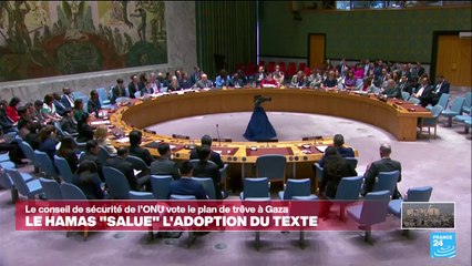 Gaza : le Conseil de sécurité de l'ONU apporte son soutien au plan de trêve à Gaza