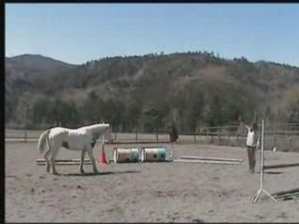 Seance du 13 avril Hidalgo