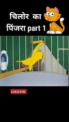 chilor kaa pinjara -- _shorts(720P_60FPS)