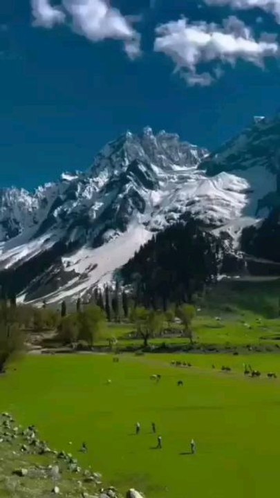 kashmir beautiy  view