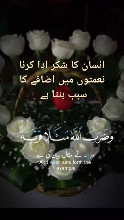 Tilawat e Quran kareemHD_720PHD_720P