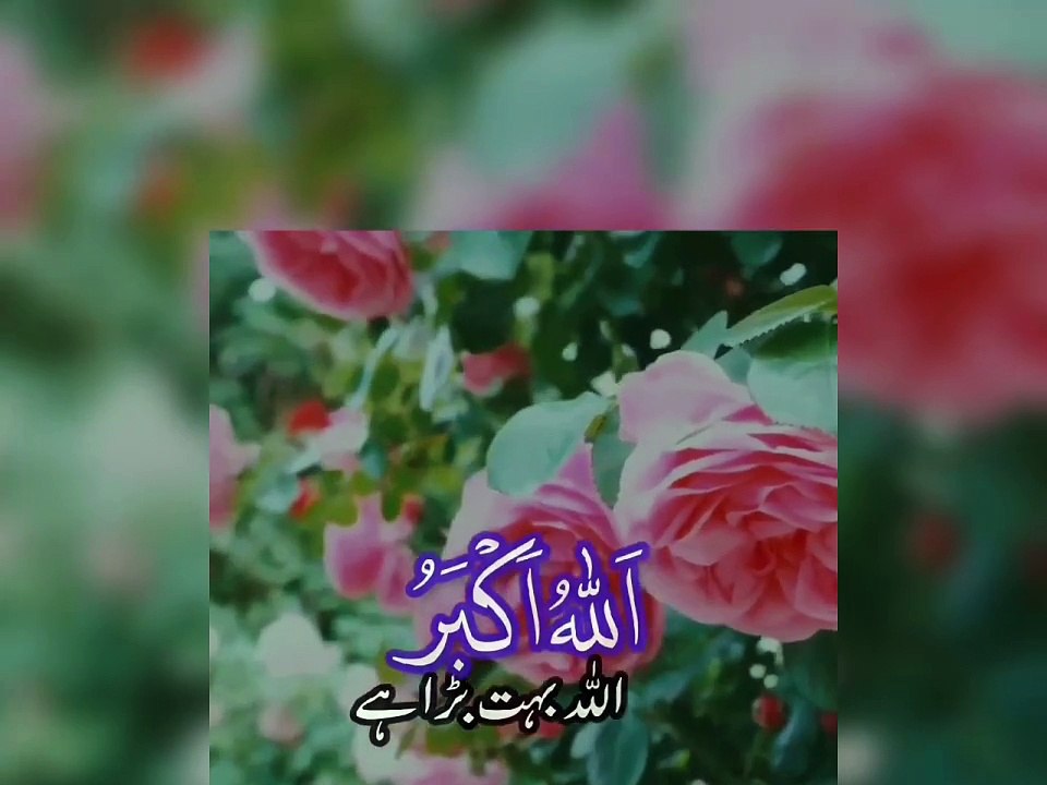 Allah Akbar_2024