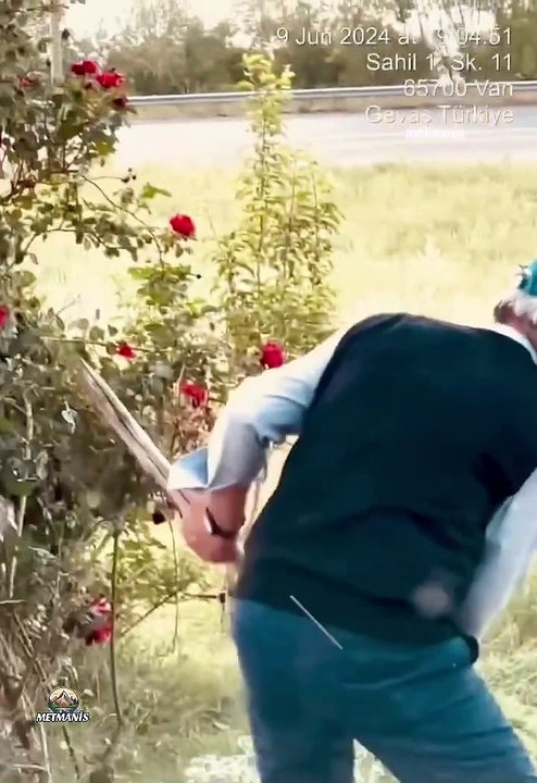 Akdamar Adası ve Vangölü Manzarasında Geleneksel Tırpanla Ot Biçme